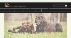 Desktop Screenshot of dutchhollowlabs.com